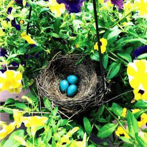 Spring Time by Pam Trolano